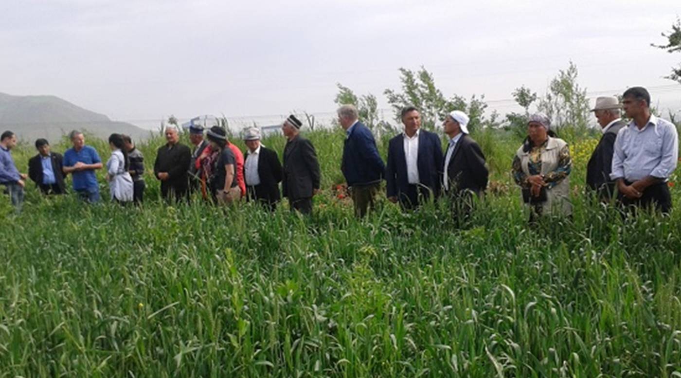 Полевой день в хозяйстве Юсупова