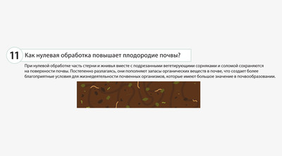 Как нулевая обработка повышает плодородие почвы?