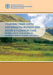 Староместные сорта пшеницы на фермерских полях в Таджикистане: Обзор,